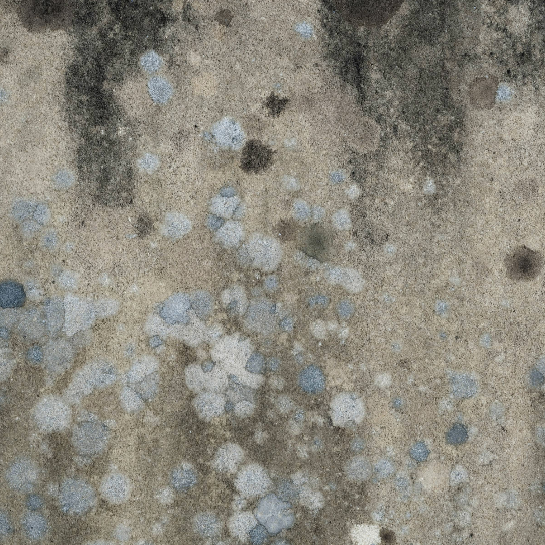 Water Restoration