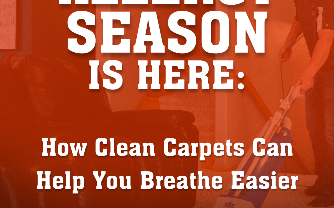 Allergy Season is Here: How Clean Carpets Can Help You Breathe Easier