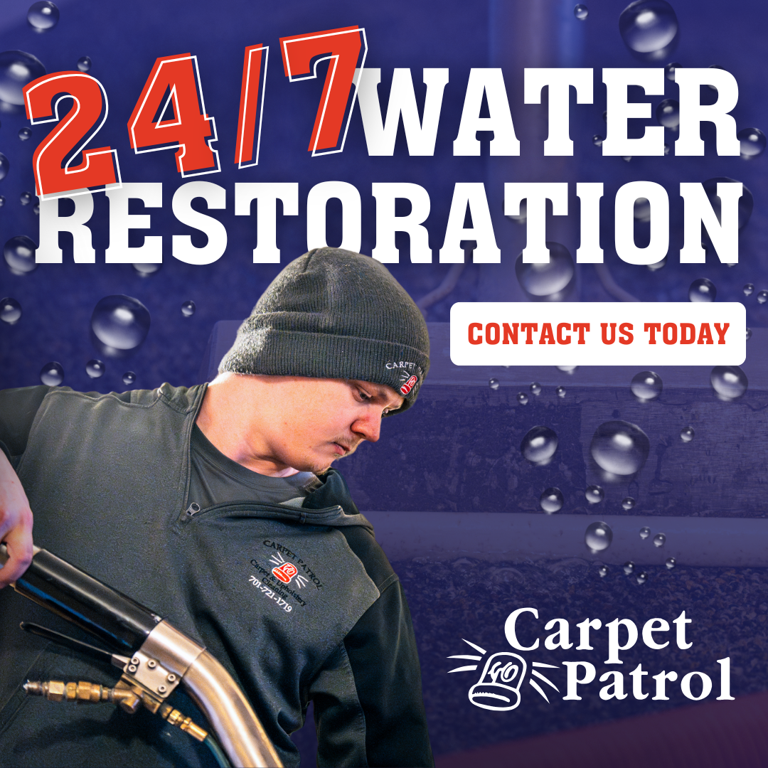 Carpet Patrol Ads
