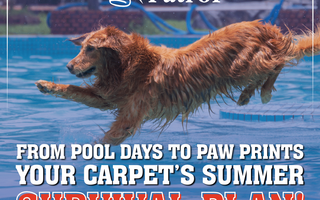 From Pool Days to Paw Prints: Your Carpet’s Summer Survival Plan